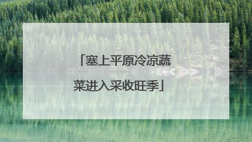 塞上平原冷凉蔬菜进入采收旺季