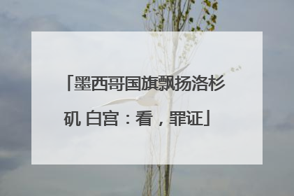 墨西哥国旗飘扬洛杉矶 白宫：看，罪证