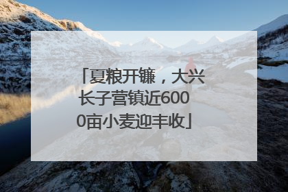 夏粮开镰，大兴长子营镇近6000亩小麦迎丰收