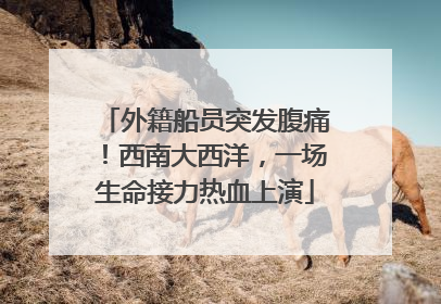 外籍船员突发腹痛！西南大西洋，一场生命接力热血上演