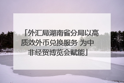 外汇局湖南省分局以高质效外币兑换服务 为中非经贸博览会赋能