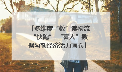 多维度“数”读物流“快跑” “喜人”数据勾勒经济活力画卷