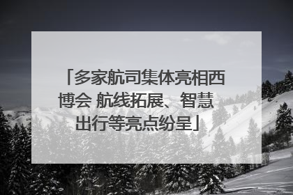 多家航司集体亮相西博会 航线拓展、智慧出行等亮点纷呈