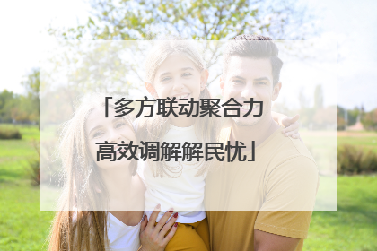 多方联动聚合力 高效调解解民忧