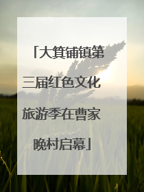 大箕铺镇第三届红色文化旅游季在曹家晚村启幕