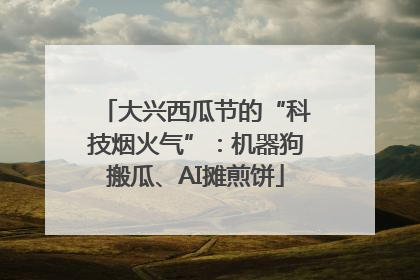 大兴西瓜节的“科技烟火气”：机器狗搬瓜、AI摊煎饼