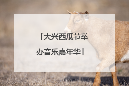 大兴西瓜节举办音乐嘉年华