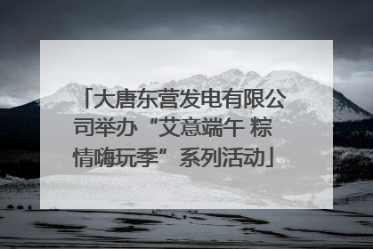 大唐东营发电有限公司举办“艾意端午 粽情嗨玩季”系列活动