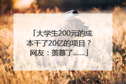 大学生200元的成本干了20亿的项目？网友：羡慕了……