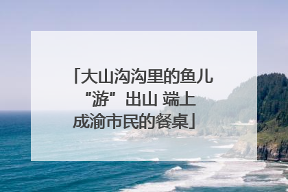 大山沟沟里的鱼儿 “游”出山 端上成渝市民的餐桌