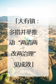 大有镇：多措并举推动“两清两改两治理”见成效