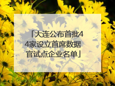 大连公布首批44家设立首席数据官试点企业名单