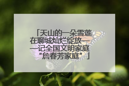 天山的一朵雪莲在聊城灿烂绽放——记全国文明家庭“詹春芳家庭”