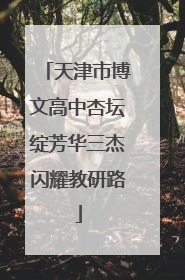 天津市博文高中杏坛绽芳华三杰闪耀教研路