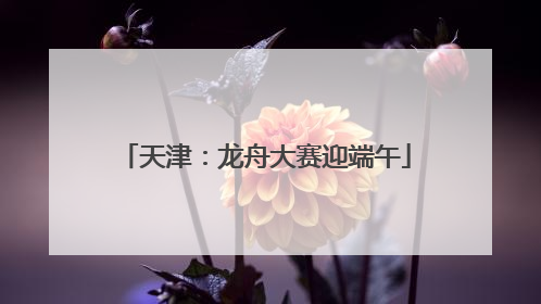 天津：龙舟大赛迎端午