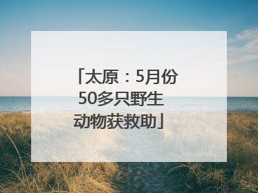 太原：5月份 50多只野生动物获救助