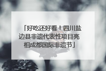好吃还好看！四川盐边县非遗代表性项目亮相成都国际非遗节