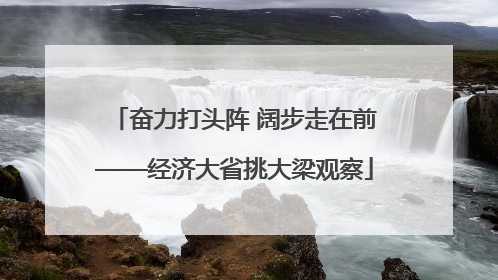 奋力打头阵 阔步走在前——经济大省挑大梁观察