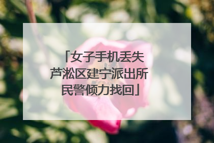 女子手机丢失 芦淞区建宁派出所民警倾力找回