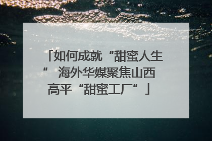如何成就“甜蜜人生” 海外华媒聚焦山西高平“甜蜜工厂”