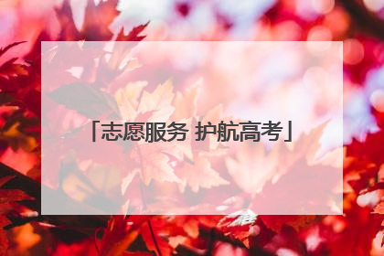 志愿服务 护航高考