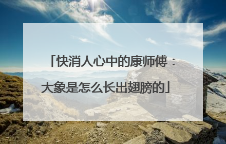 快消人心中的康师傅：大象是怎么长出翅膀的