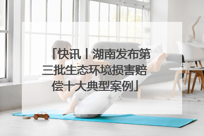 快讯丨湖南发布第三批生态环境损害赔偿十大典型案例