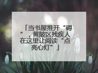 当书屋推开“碍”，黄陂区残疾人在这里让阅读“点亮心灯”
