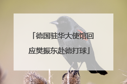 德国驻华大使馆回应樊振东赴德打球