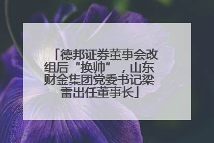 德邦证券董事会改组后“换帅”，山东财金集团党委书记梁雷出任董事长