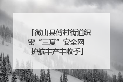 微山县傅村街道织密“三夏”安全网 护航丰产丰收季