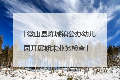 微山县驩城镇公办幼儿园开展期末业务检查