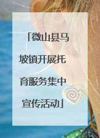 微山县马坡镇开展托育服务集中宣传活动