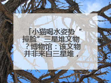 小猫喝水姿势“撞脸”三星堆文物？博物馆：该文物并非来自三星堆，有可能是它