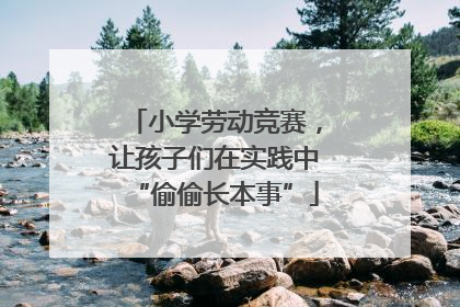小学劳动竞赛，让孩子们在实践中“偷偷长本事”