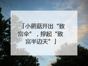 小蘑菇开出“致富伞”，撑起“致富半边天”