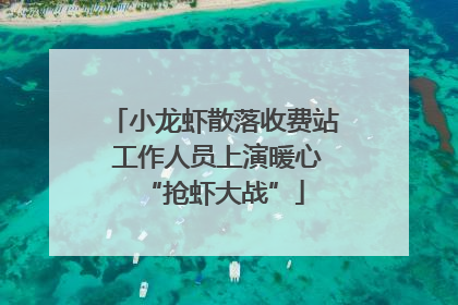 小龙虾散落收费站 工作人员上演暖心“抢虾大战”