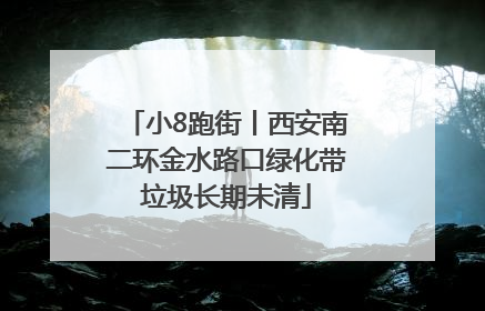 小8跑街丨西安南二环金水路口绿化带垃圾长期未清