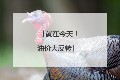 就在今天！油价大反转