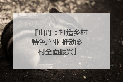 山丹：打造乡村特色产业 推动乡村全面振兴