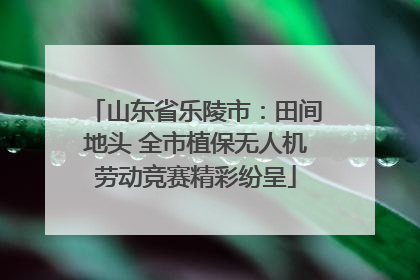 山东省乐陵市：田间地头 全市植保无人机劳动竞赛精彩纷呈