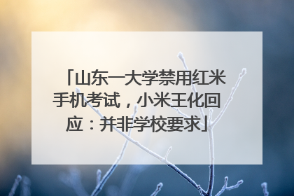 山东一大学禁用红米手机考试，小米王化回应：并非学校要求