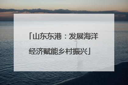 山东东港：发展海洋经济赋能乡村振兴