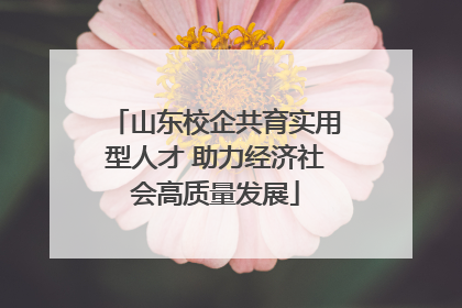山东校企共育实用型人才 助力经济社会高质量发展
