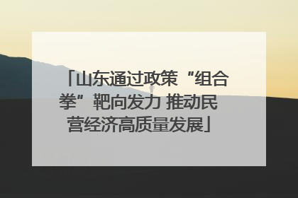 山东通过政策“组合拳”靶向发力 推动民营经济高质量发展