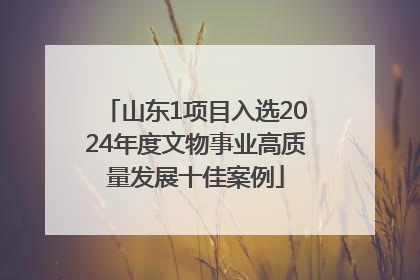 山东1项目入选2024年度文物事业高质量发展十佳案例