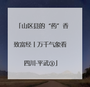 山区县的“药”香致富经丨万千气象看四川·平武③