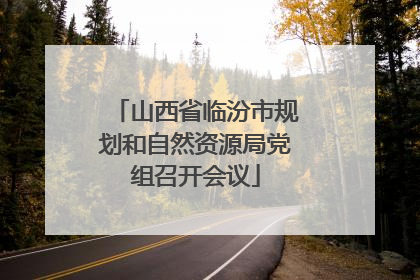 山西省临汾市规划和自然资源局党组召开会议