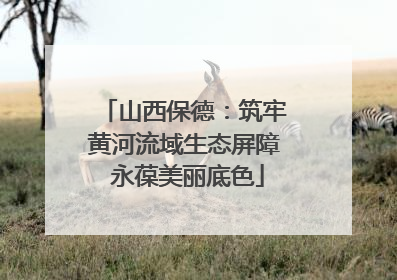 山西保德：筑牢黄河流域生态屏障 永葆美丽底色