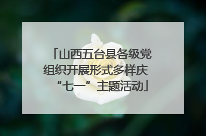 山西五台县各级党组织开展形式多样庆“七一”主题活动